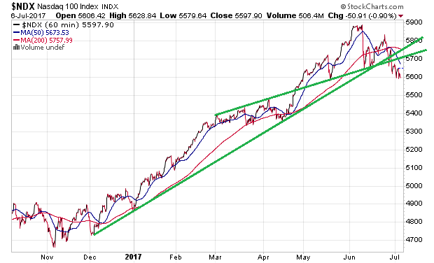 Der USA Bären-Thread 999973