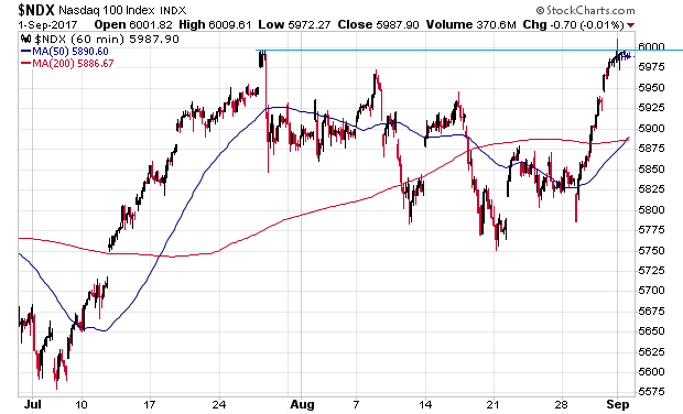 Der USA Bären-Thread 1010086