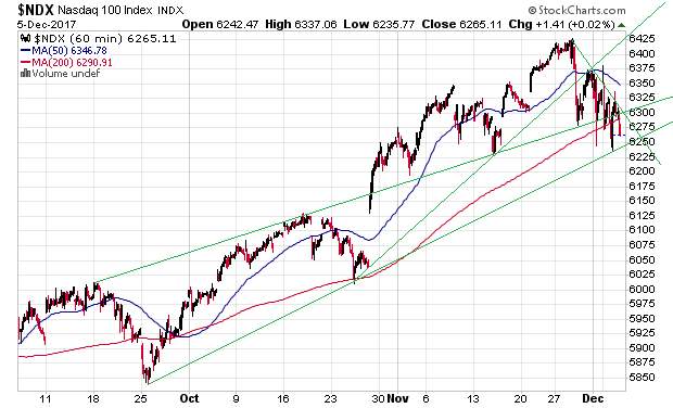 Der USA Bären-Thread 1028293
