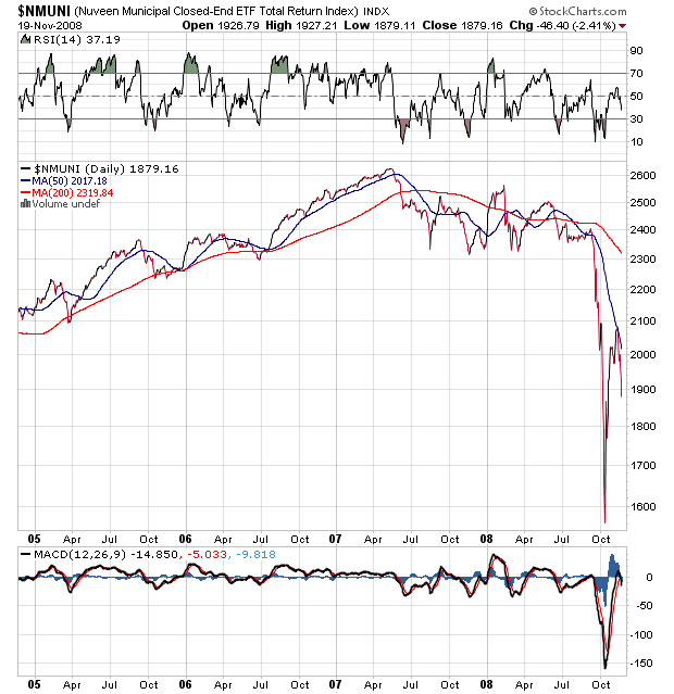 Der USA Bären-Thread 200697