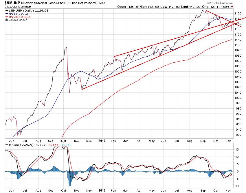 Der USA Bären-Thread 357302