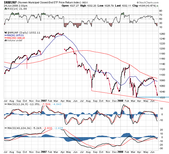 Der USA Bären-Thread 171081