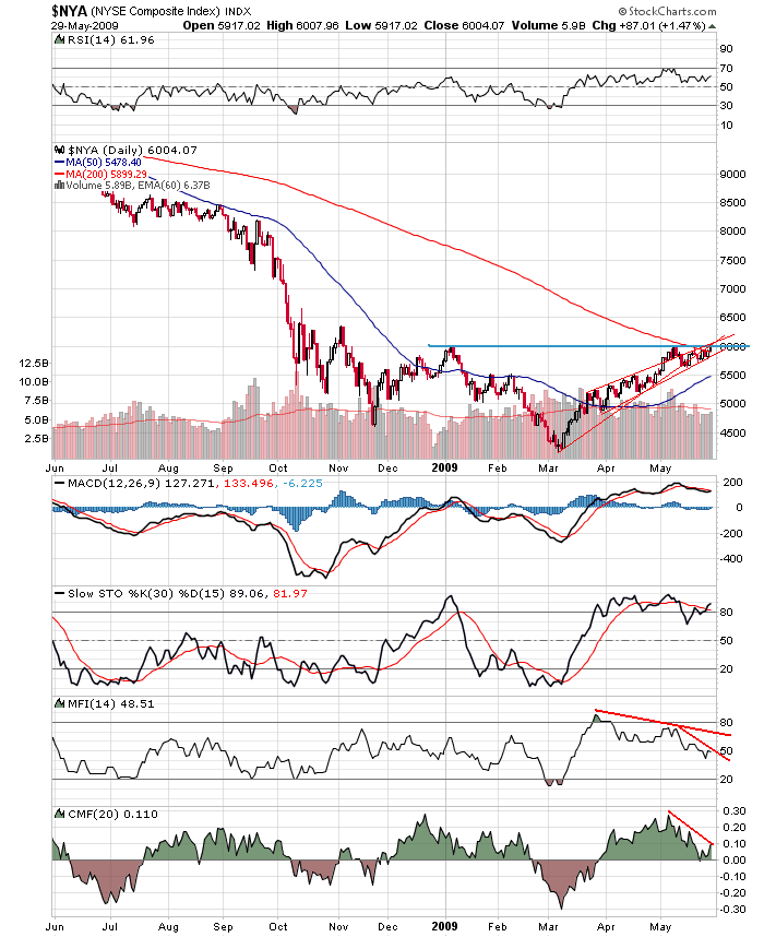 Der USA Bären-Thread 236041