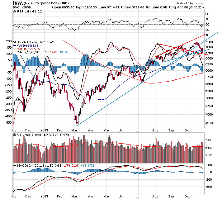 Der USA Bären-Thread 271320
