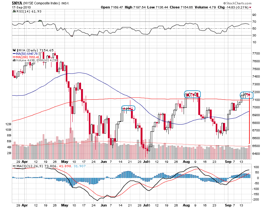 Der USA Bären-Thread 346022