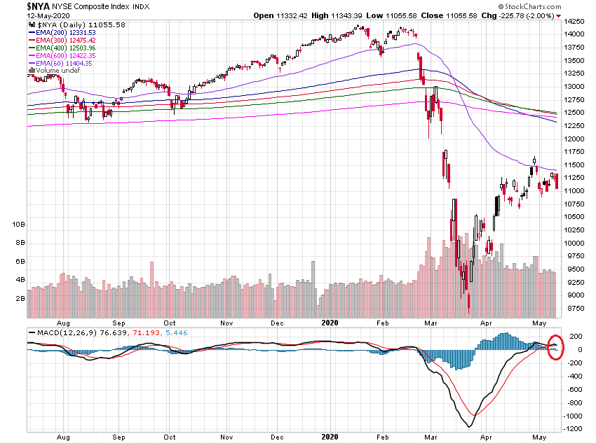 Der USA Bären-Thread 1177890