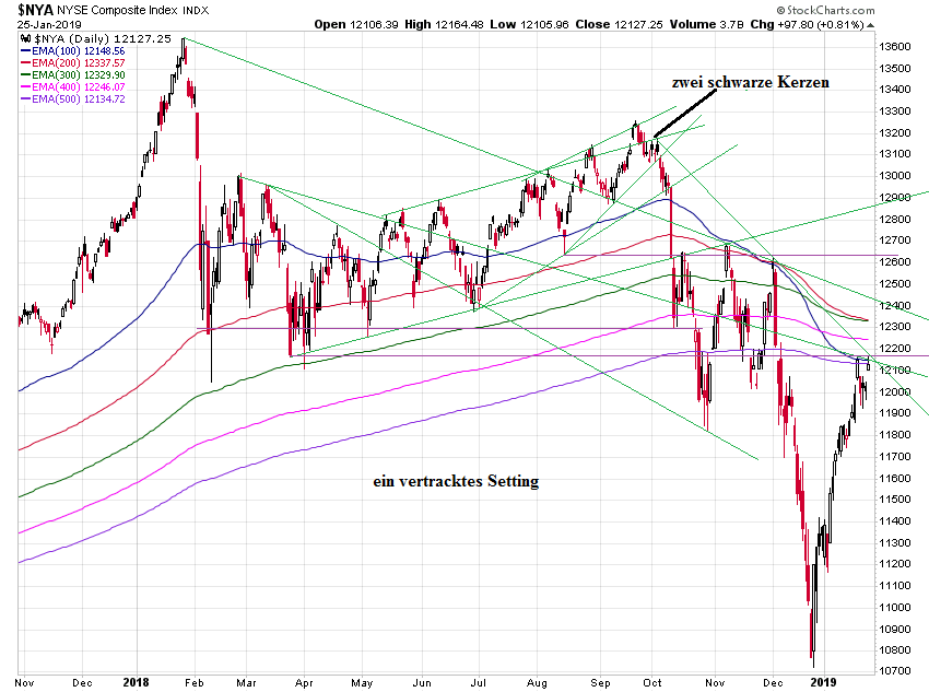 Der USA Bären-Thread 1093475