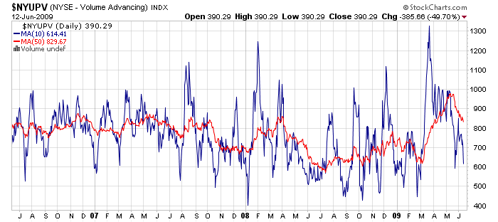 Der USA Bären-Thread 238409