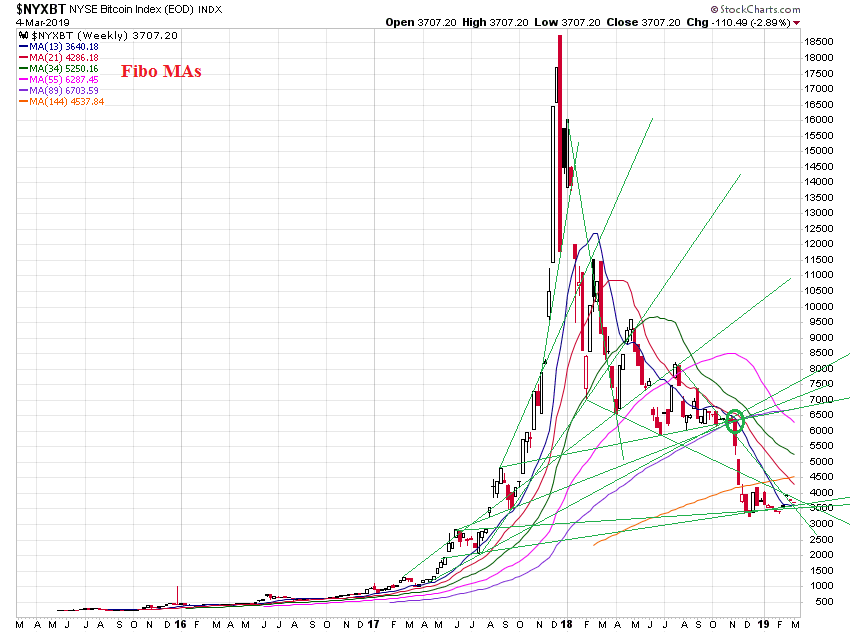 Der USA Bären-Thread 1100129