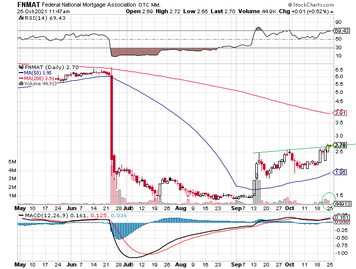 Fannie Mae - Chance auf Verdreifachung bis Juli 1280708