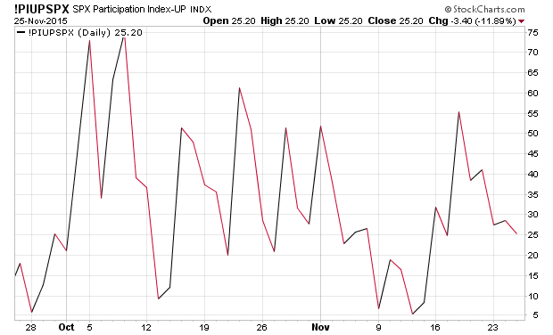 Der USA Bären-Thread 874408