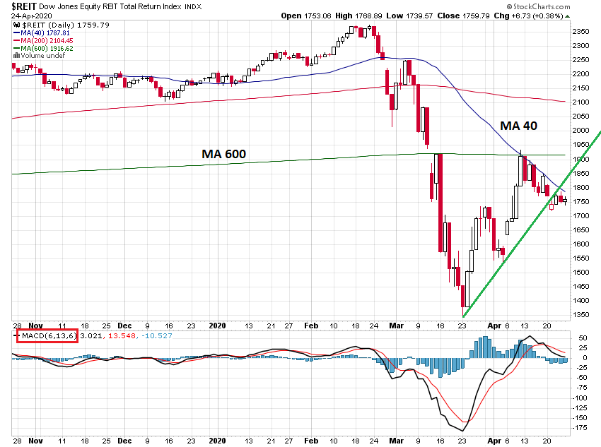Der USA Bären-Thread 1174682