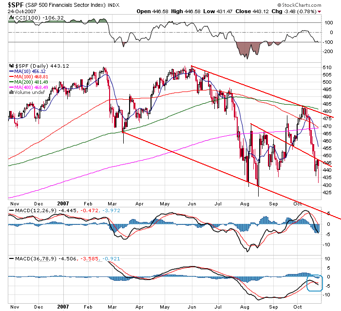 Der USA Bären-Thread 127616