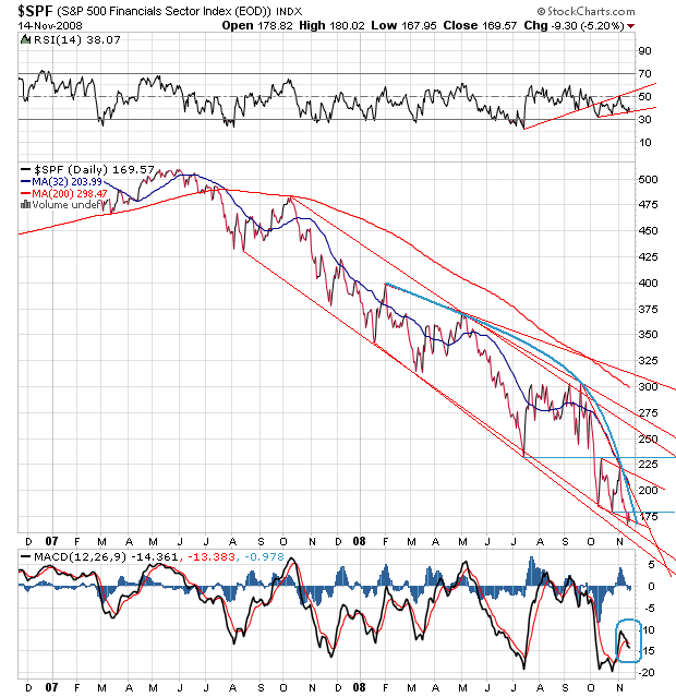 Der USA Bären-Thread 199805