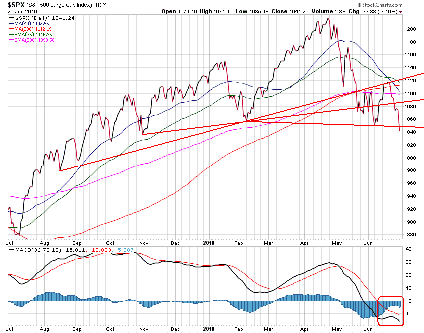 Der USA Bären-Thread 329601