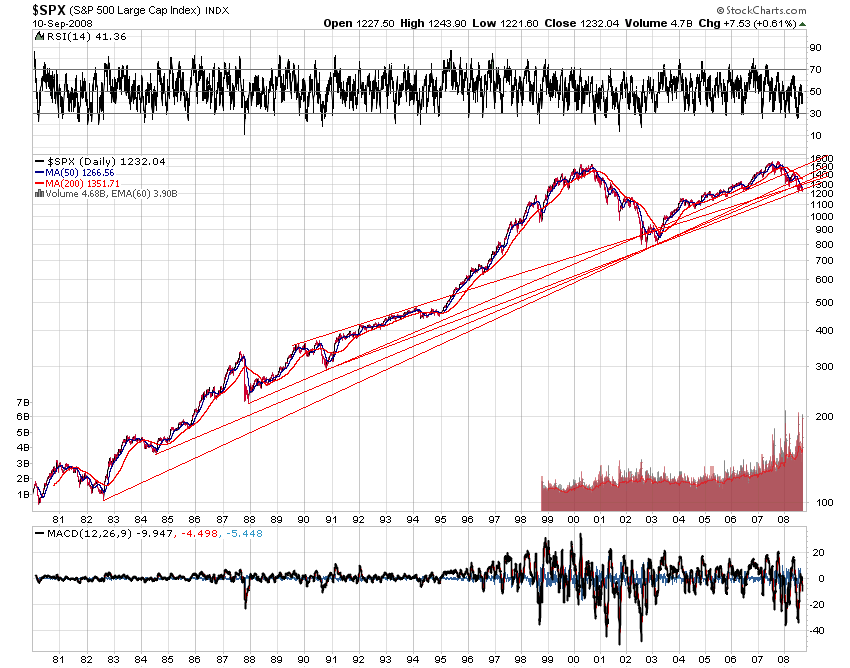 Der USA Bären-Thread 185632