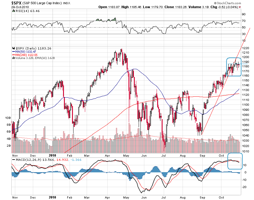Der USA Bären-Thread 354754