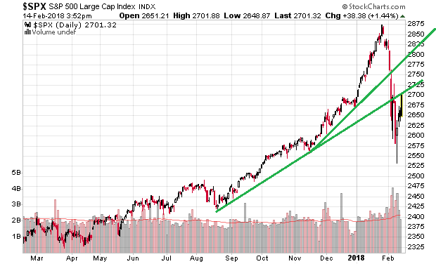 Der USA Bären-Thread 1040882