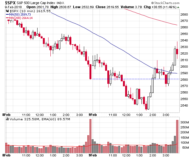 Der USA Bären-Thread 1040337