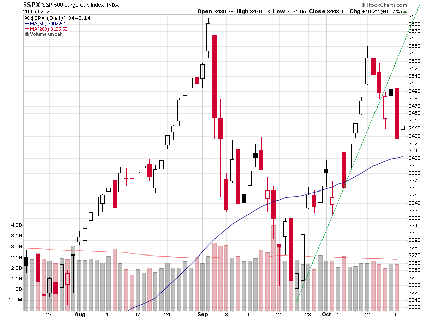 Der USA Bären-Thread 1207763