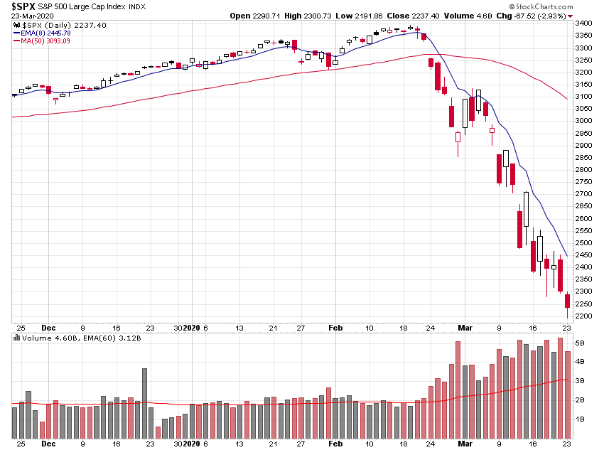 Der USA Bären-Thread 1168470