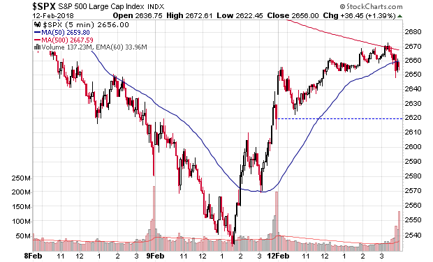 Der USA Bären-Thread 1040546