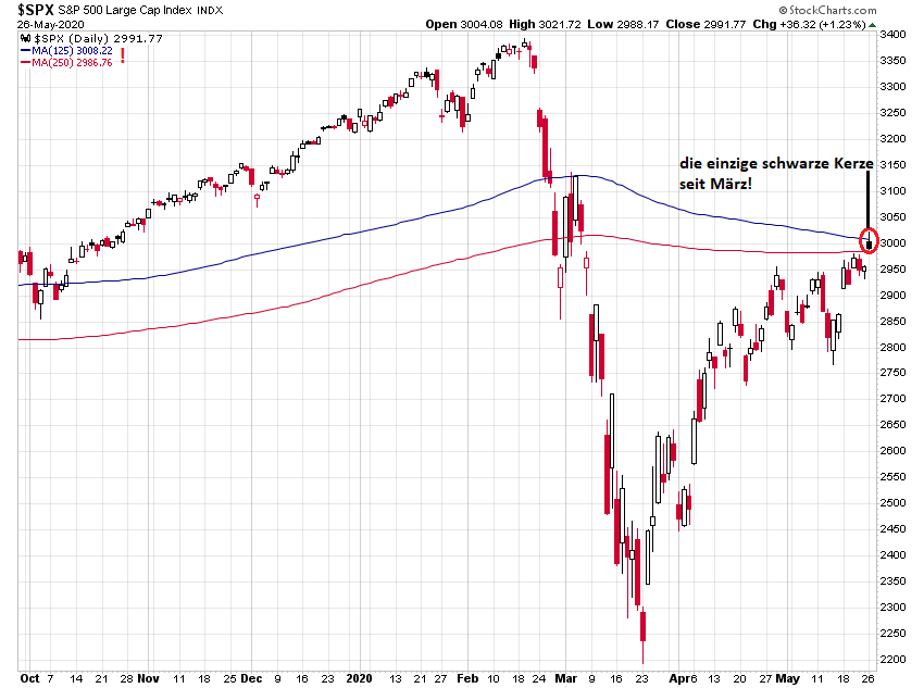 Der USA Bären-Thread 1180824