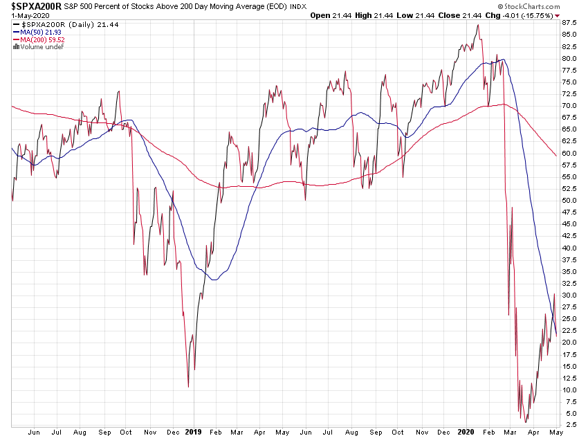 Der USA Bären-Thread 1175888