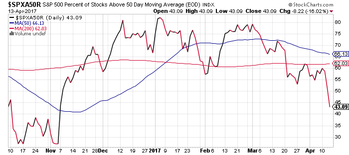 Der USA Bären-Thread 983924