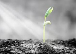 COMMERZBANK kaufen Kz. 28 € 1052716