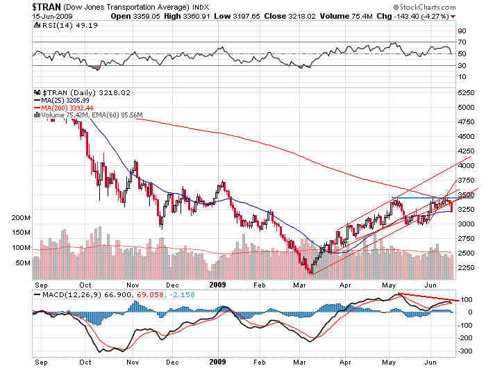 Der USA Bären-Thread 238907