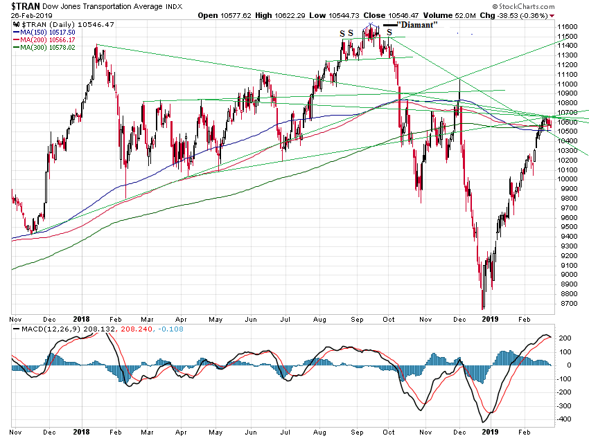 Der USA Bären-Thread 1099051
