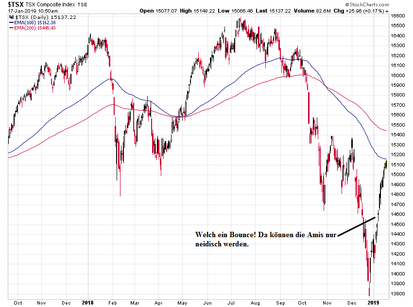 Der USA Bären-Thread 1091946