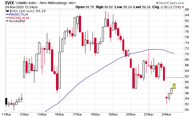Der USA Bären-Thread 1168558