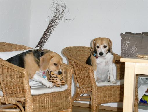 Wer hat diesen Fond 184240