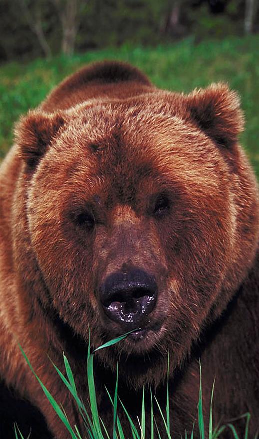 Der Antizykliker-Thread 269692