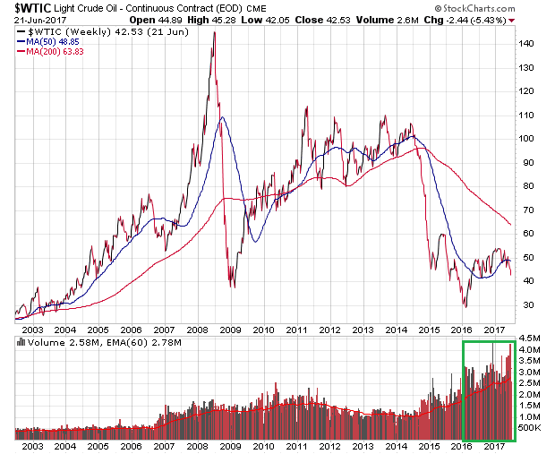 Der USA Bären-Thread 997317
