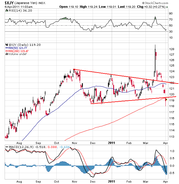 Bear Zocks - daily 393102