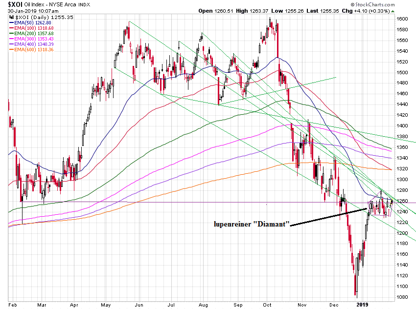 Der USA Bären-Thread 1093972