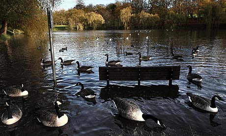 Der USA Bären-Thread 343700