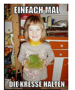 Hypersolar im Jahr der Brennstoffzelle 2014 1249760