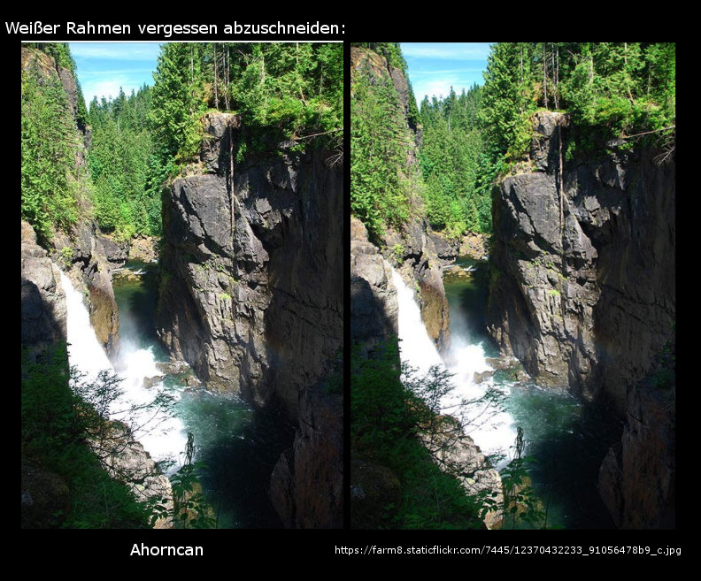 netcents, die neue online zahlungsplattform 1075956