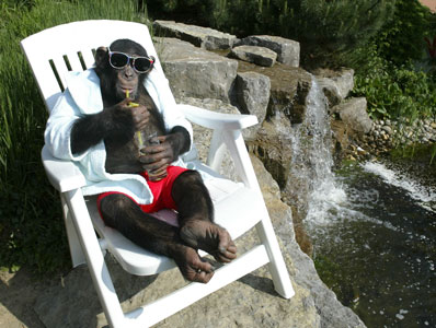 810.DAX Tipp-Spiel, Donnerstag, 19.06.08, 17:45 169798