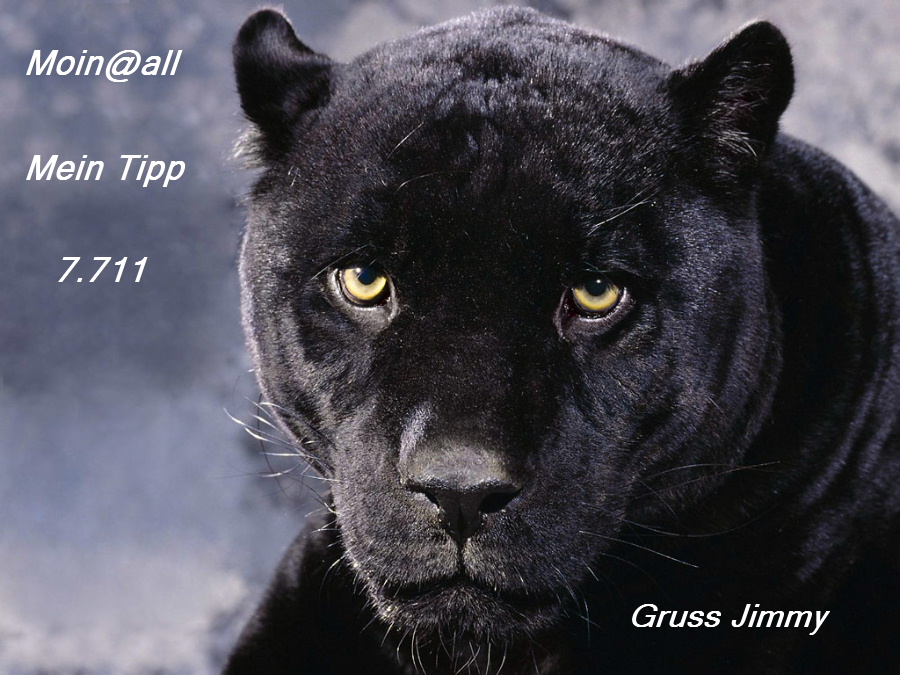 673.DAX Tipp-Spiel, Donnerstag, 29.11.07 133871