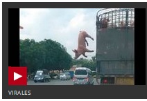 2014 QV DAX-DJ-GOLD-EURUSD-JPY 732157