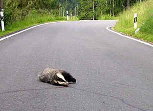 Der Deutsche Michel 442142