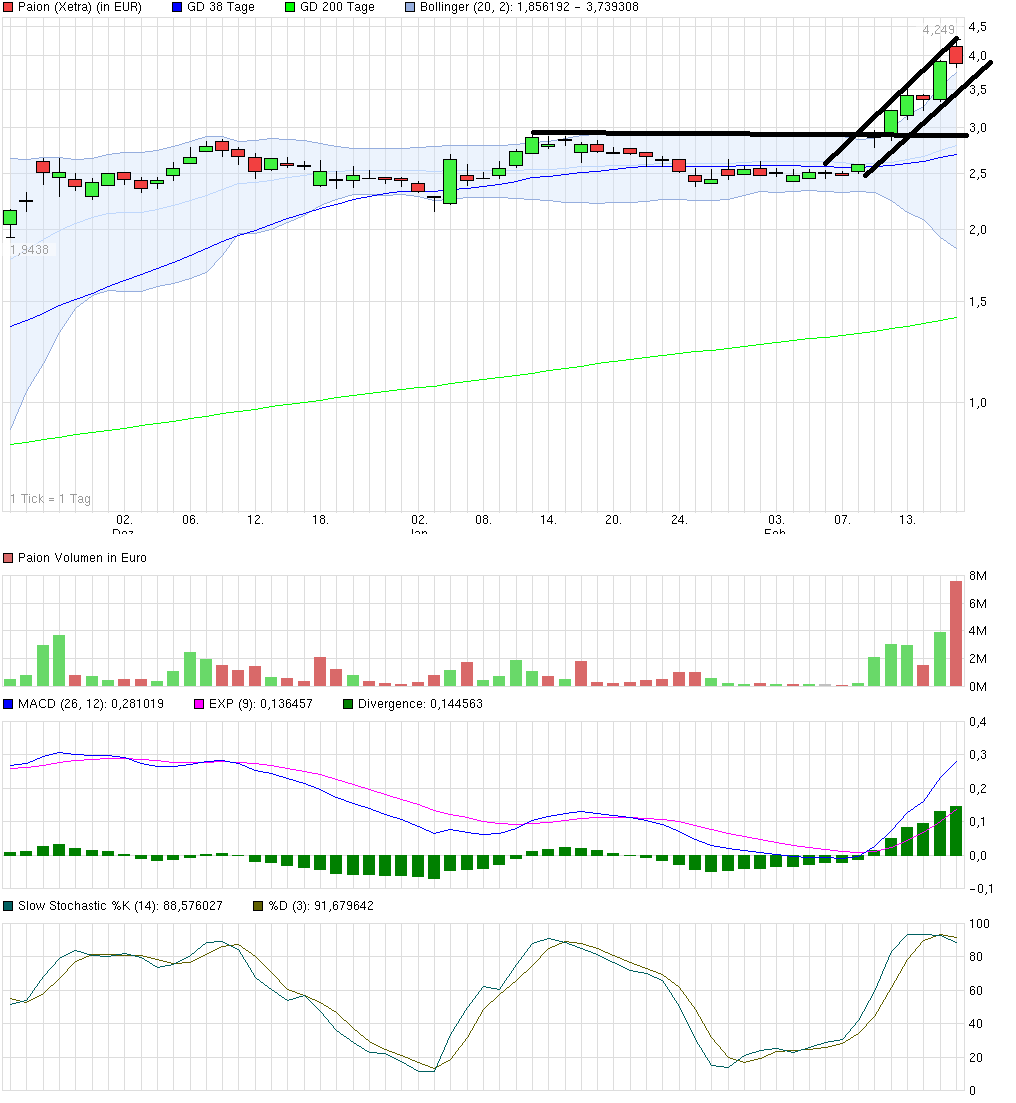 PAION Eine Fledermaus lernt wieder fliegen 696385