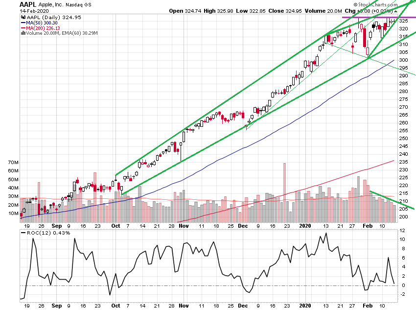 Der USA Bären-Thread 1160332