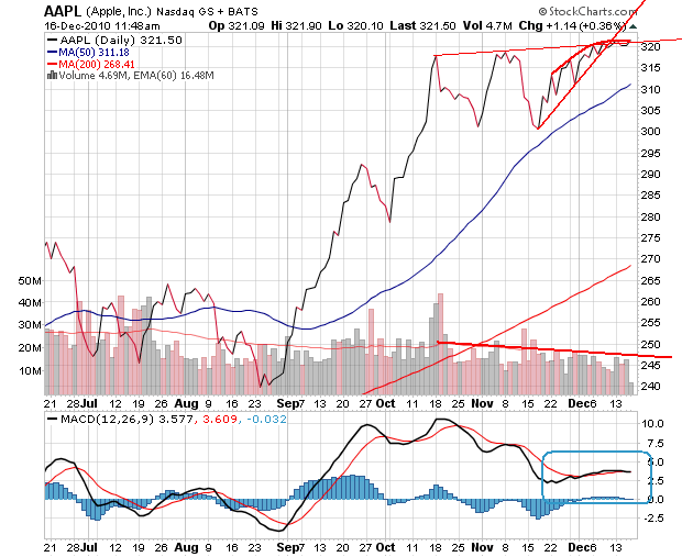 Der USA Bären-Thread 366456
