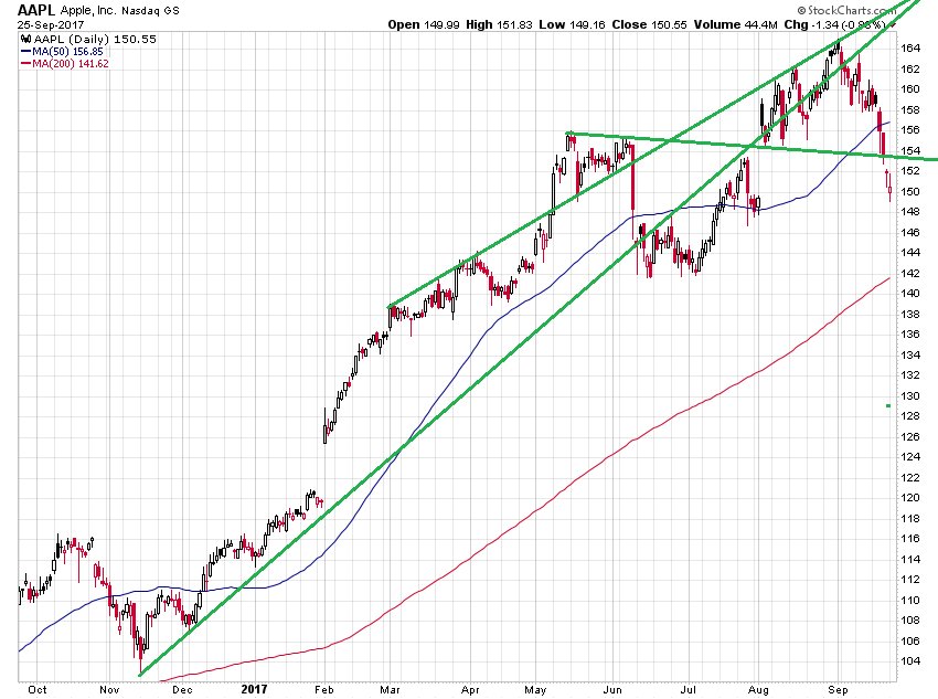 Der USA Bären-Thread 1014539